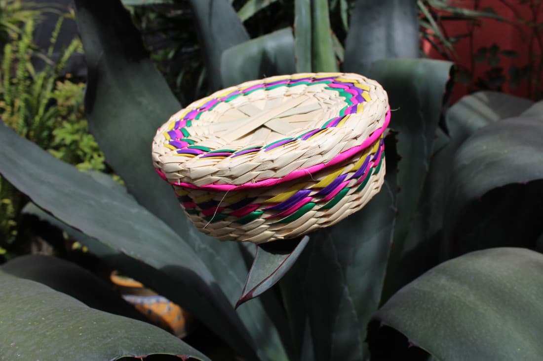 tortillero de palma muesta de cestería en México